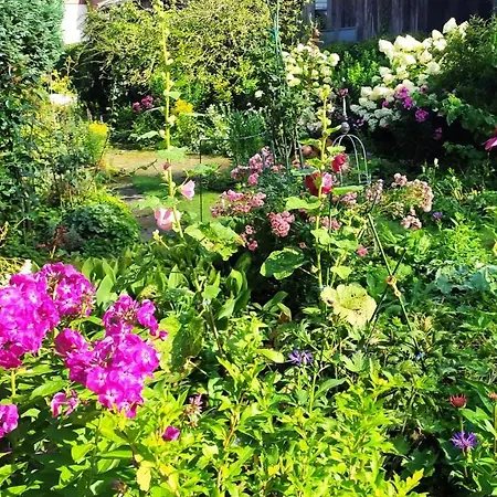 Apartmán Im Gruenen *