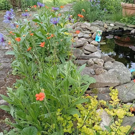Im Gruenen Osterode am Harz